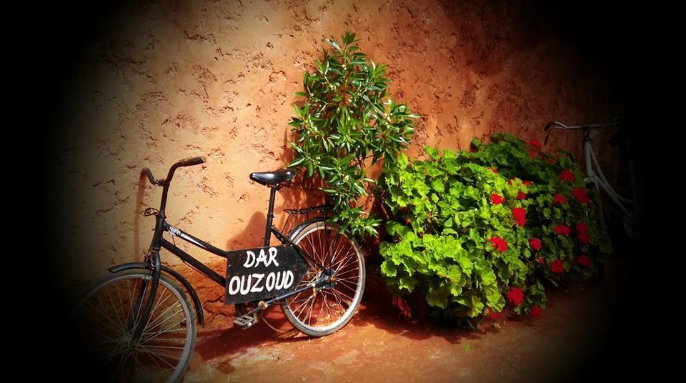 ホテル Dar Ouzoud Vegan エクステリア 写真